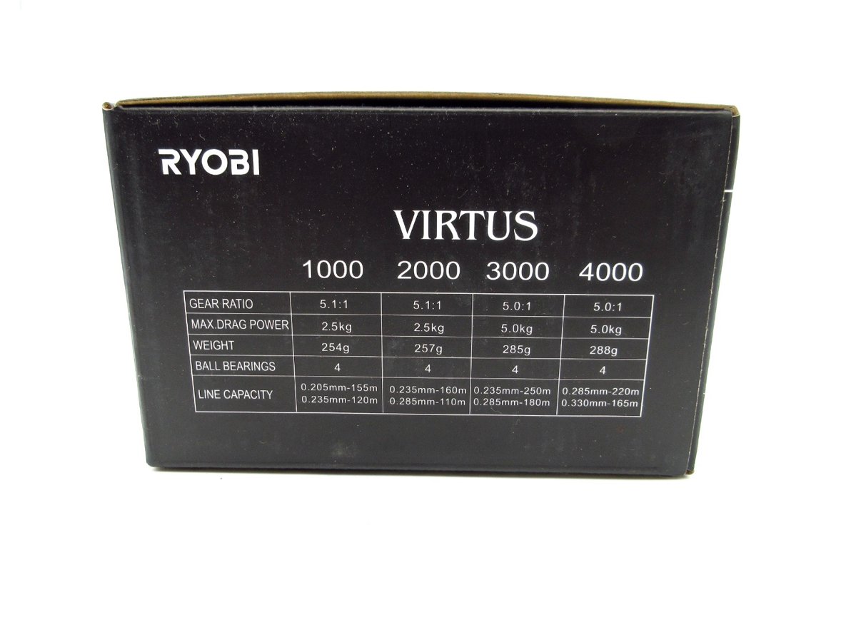 RYOBI VIRTUS 4000