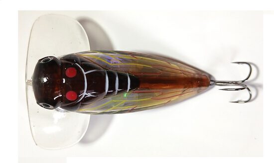 Māneklis POPPER CICADA 7cm PRO FL CP-03
